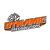 Dynamictreesolutions